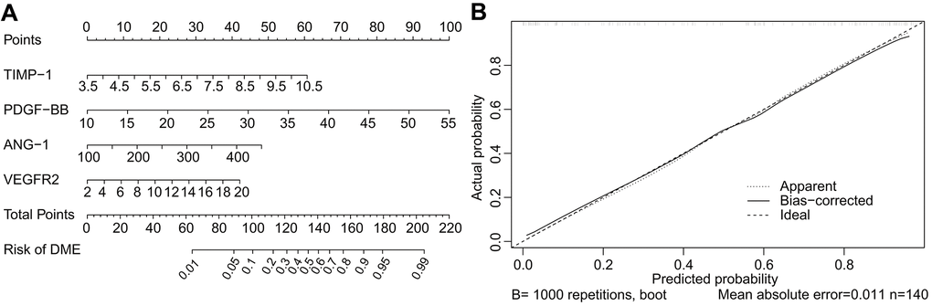 Nomogram and calibration curve for predicting DME. The DME-risk nomogram includes ANG-1, PDGF-BB, TIMP-1, and VEGFR2 as predictors (A). The calibration curve for predicting DME (B). The nomogram-predicted probability of DME is plotted on the X-axis and the actual probability is plotted on the Y-axis. Calibration curves demonstrated satisfactory consistency between the predicted risk and the actual probability.