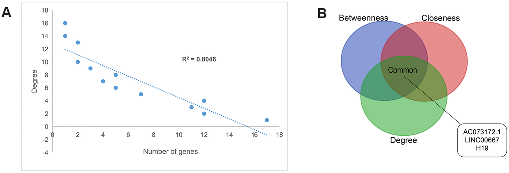 Topology features of the PCLMN. (A) Degree distributions of the network. All degrees followed a power-law distribution. (B) Identification of 3 lncRNA genes simultaneously ranking within the top-10 lists across degree, betweenness, and closeness.