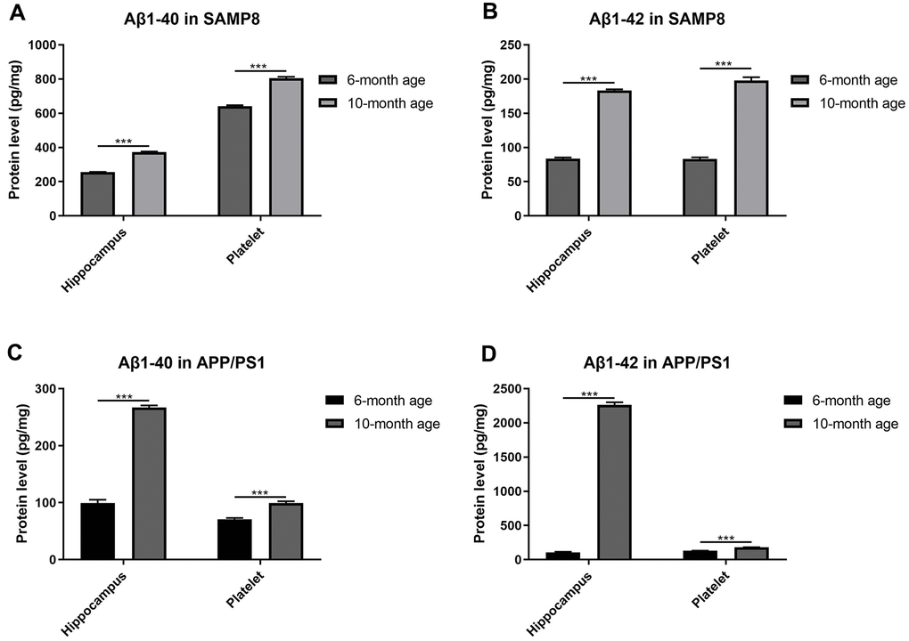 Aβ levels in platelets and hippocampi from SAMP8 mice of different ages. (A) Aβ1-40 contents in platelets and hippocampi from 6- and 10-month-old SAMP8 mice. (B) Aβ1-42 contents in platelets and hippocampi from 6- and 10-month-old SAMP8 mice. (C) Aβ1-40 contents in platelets and hippocampi from 6- and 10-month-old APP/PS1 mice. (D) Aβ1-42 contents in platelets and hippocampi from 6- and 10-month-old APP/PS1 mice. Each group included 5 mice, ***P