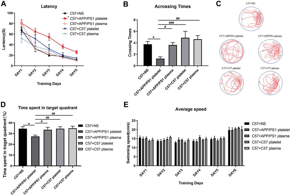 Effects of plasma or platelets from aged mice on spatial learning and memory abilities. (A) Latency (escape latency), the time the mice spent finding the underwater hidden platform on the MWM training days. (B) Crossing times, the number of times the mice crossed the former platform area during the probe trial on the last day. (C) Track trail, the track trail of the mice during the probe trial on the last day. (D) Time spent in the target quadrant. (E) Average speed, average swimming speed of the mice per day, showing that the experimental results, such as latency, are not related to the swimming speed of the mice. Each group contained 8 mice. *P#P##P###P