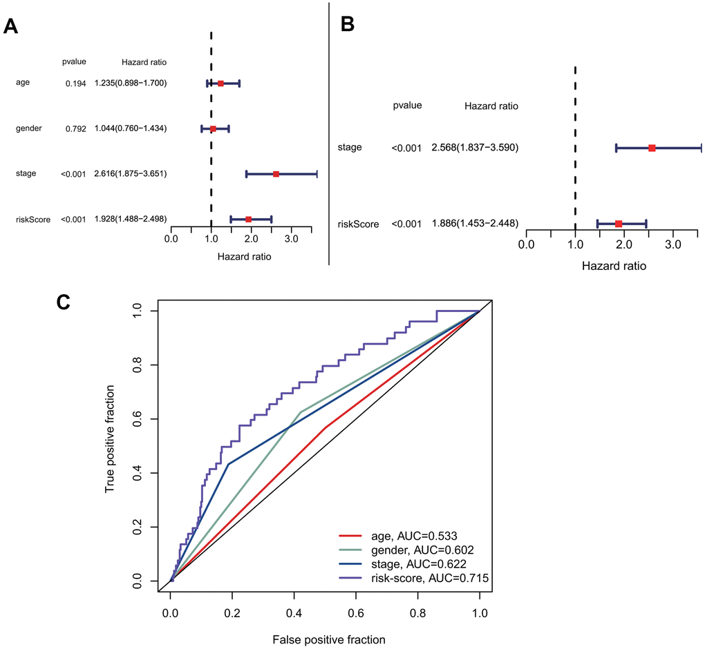 Prognostic correlation analysis with risk-score and other clinical characteristics. (A) Univariate analysis of risk-score and other clinical features. (B) Multivariate cox analysis showed that risk-score was an independent prognostic factor. (C) Comparison of the accuracy of risk-score and other clinical characteristics in predicting patients prognosis.