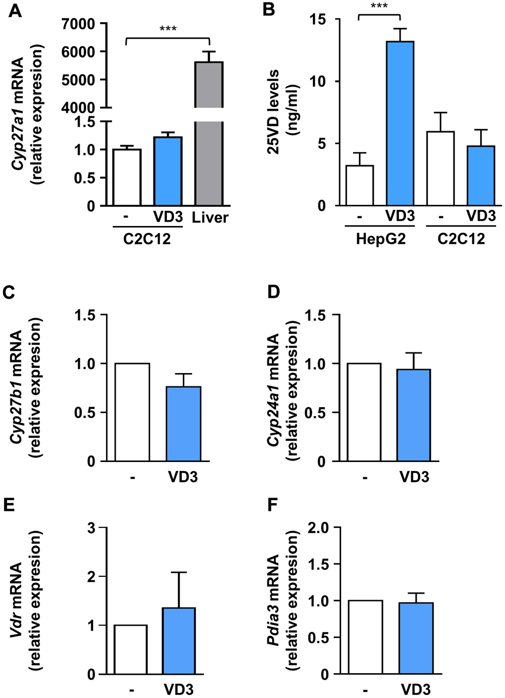 VD3 did not alter the expression of hydroxylases and receptors involved in vitamin D metabolism and activity, and its anti-atrophic action does not depend on intracellular conversion to 25VD. (A) C2C12 myotubes were treated in serum-free medium with VD3 for 24 h, and mRNA levels of Cyp27a1 were assayed by real-time PCR, using liver tissue as a positive control and Gusb as the housekeeping gene. (B) HepG2 cells and C2C12 myotubes were treated in serum-free medium with VD3 for 24 h, and the content of 25VD was quantified in cell lysates with a specific ELISA kit. (C–F) C2C12 myotubes were treated in serum-free medium as above, and mRNA levels of (C) Cyp27b1, (D) Cyp24a1, (E) Vdr, and (F) Pdia3 were assayed by real-time PCR, using Gusb as the housekeeping gene. Data are presented as the mean ± SEM of three independent experiments. ***P 