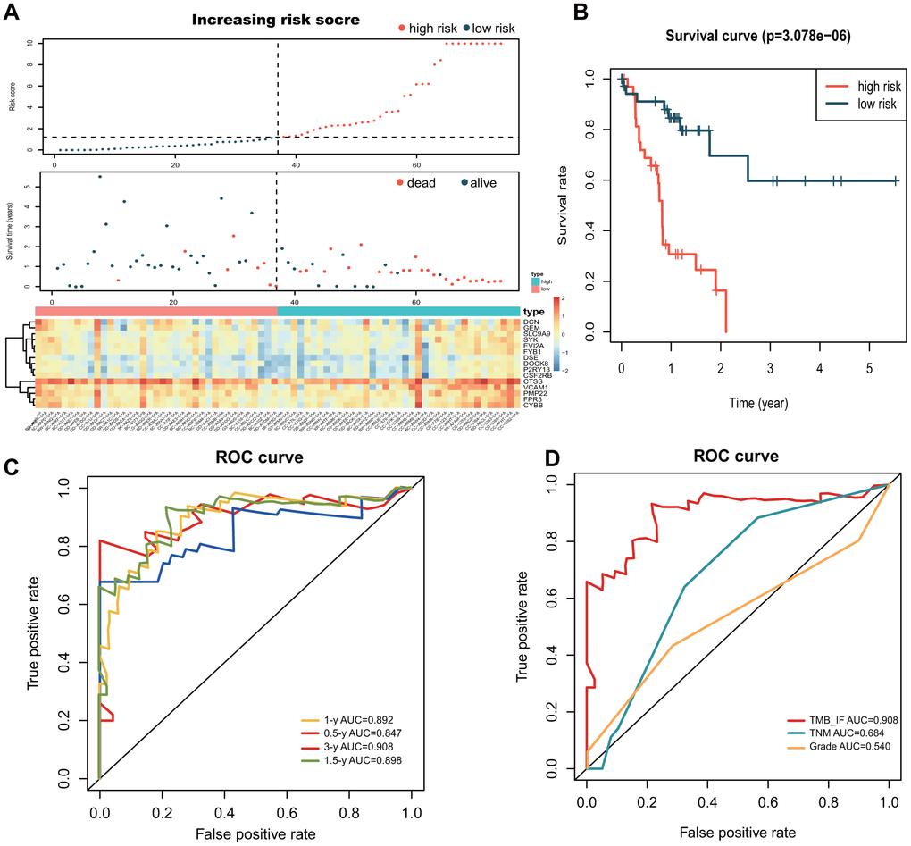 Construction and evaluation of the TMB-IF prognostic panel. (A) Overall distribution of patients identified with the threshold of high and low risk. Screened prognostic genes in the two groups was demonstrated by heatmap. (B) Kaplan–Meier survival analysis and survival curves of high and low risk patients. (C) ROC curve of the prognostic model at 0.5-, 1-, 1.5- and 3-year overall survival. (D) Comparison of TMB-IF with TNM staging and Pathology Grade. ROC, Receiver operating characteristic; TMB, tumor mutational burden; IF, infiltration.