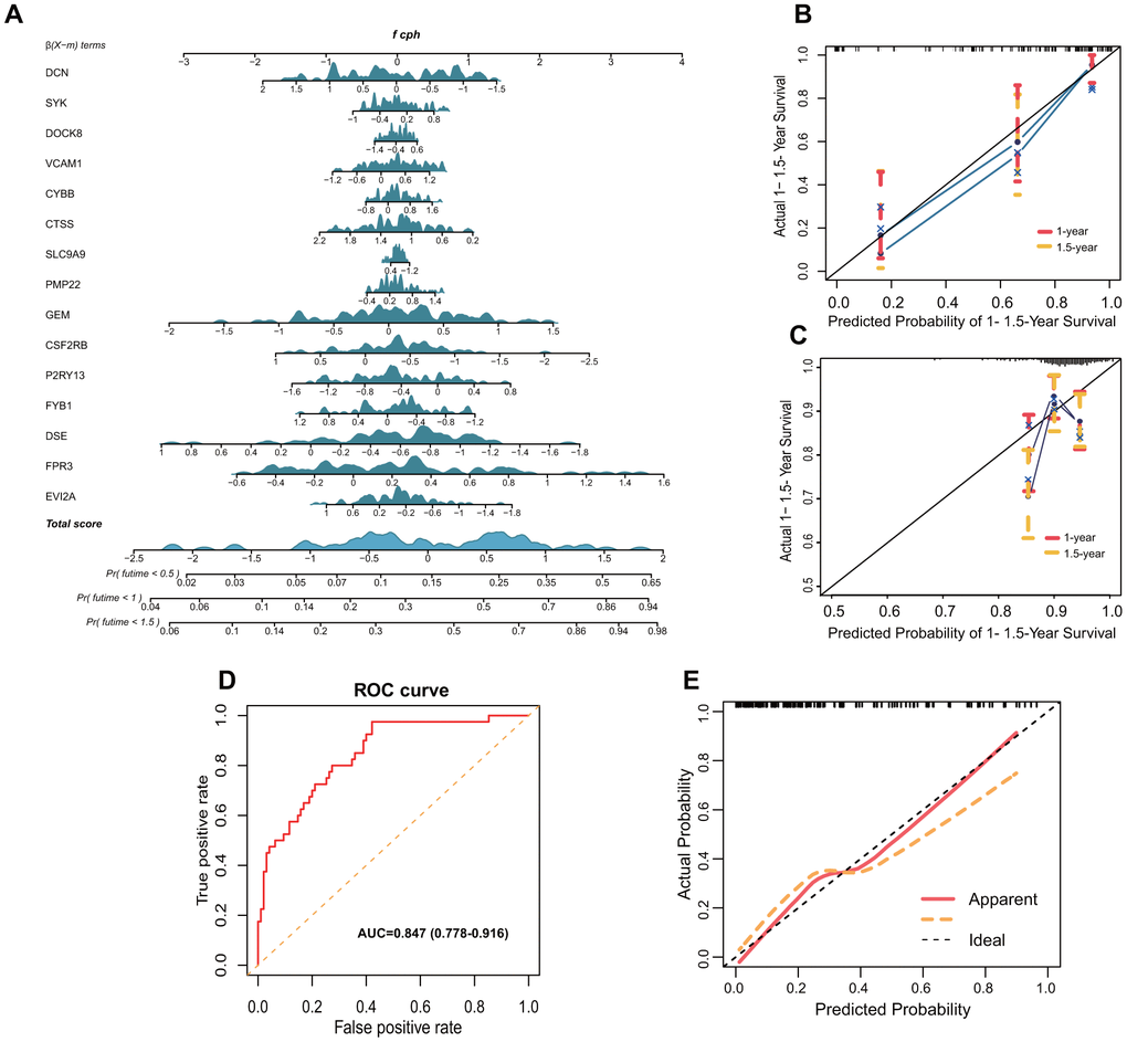 Nomogram and validation of TMB-IF prognostic panel. (A) Nomogram of all genes that presented significance for prognosis. (B) Internal calibration curve of the TMB-IF panel. Red points correspond to the fitting degree of 1-year survival probability, and the orange points correspond to the fitting degree of 1.5-year survival probability. (C) Calibration curve of 203 patients in ICGC database. (D) ROC curve was utilized to evaluate the potential flexibility of TMB-IF in GSE20017. ROC, Receiver operating characteristic. (E) Calibration curve of TMB-IF in predicting tumor vascular invasion.