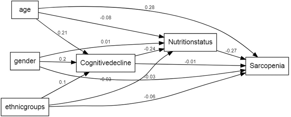 A path analysis using the SEM framework. Note. This framework shows that the estimate coefficient of cognitive decline to sarcopenia was 0.02, having a positive influence. The estimate coefficient of cognitive decline to nutrition status was -0.26, having a negative influence. The estimate coefficient of nutrition status to sarcopenia was -0.29, having a negative influence. Age, gender and ethnic groups have different estimate coefficient to the cognitive decline. nutrition status and sarcopenia. P value of all the pathway shown in framework were significant.