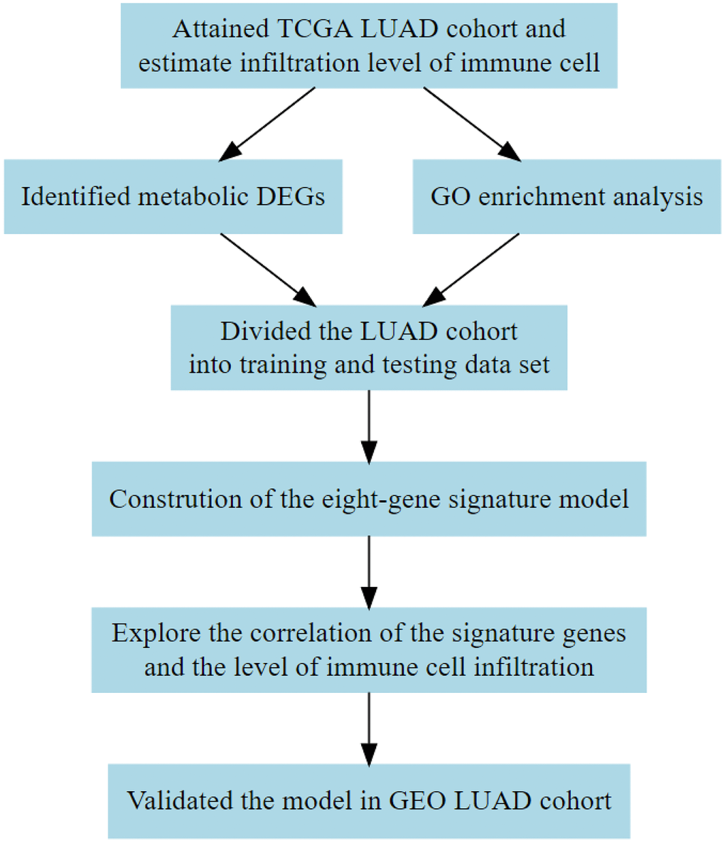 Flow diagram showing the design of the study. TCGA, The Cancer Genome Atlas; DEG, differentially expressed gene; GEO, Gene Expression Omnibus; GO, Gene Ontology.