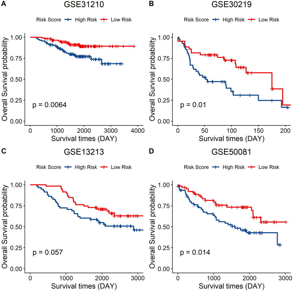 External validation of the eight-gene signature model. (A–D) Survival curve of GSE31210 (p = 0.0064), GSE30219 (p = 0.01), GSE13213 (p = 0.057), and GSE50081 (p = 0.014) indicating that a lower risk score was associated with better overall survival outcomes. Red, low–risk group; blue, high–risk group.