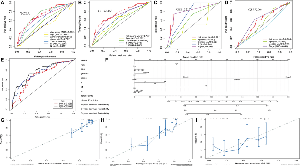 Development of the nomogram based on PRS and clinical features. (A–D) The receiver operating characteristic (ROC) curve of OS in TCGA, GSE13213, GSE68465 and GSE72094 cohort. (E) ROC curve of the nomogram based on PRS in TCGA. (F) The nomogram based on PRS in TCGA. (G–I) 1, 3 and 5-year calibration curves of nomogram in TCGA.