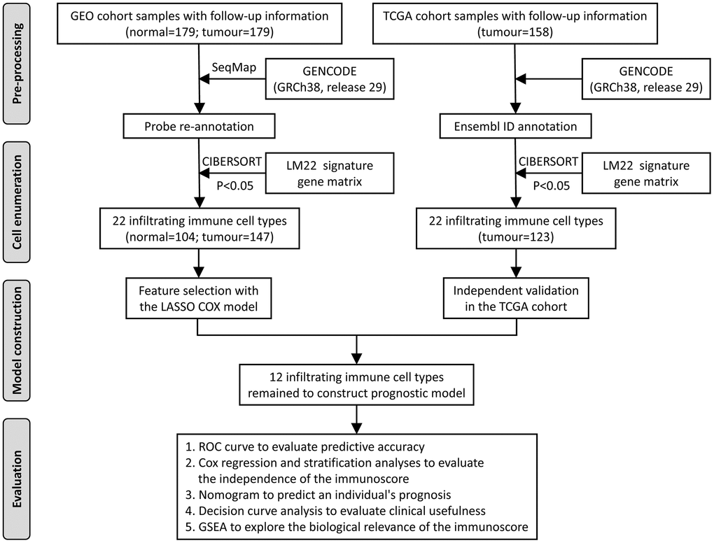 Flowchart of the study design. GEO, Gene Expression Omnibus; TCGA, The Cancer Genome Atlas; ROC, receiver operating characteristic; GSEA, gene set enrichment analysis.