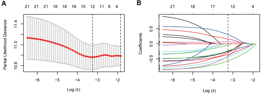 Immune feature selection based on the LASSO Cox regression model. (A) Optimal feature subsets based on the minimum criteria with 10-fold cross-validation of the LASSO regression. The vertical dashed lines represent the optimal values using the minimum criteria and the 1-standard error (SE) of the minimum criteria. The λ selected with 10-fold cross-validation (minimum criteria) was 0.039, and log (λ) was -3.245. (B) Regression coefficient profiles of 22 immune signatures in the LASSO model. The vertical dotted line is the optimal λ selected with 10-fold cross-validation, which resulted in 12 non-zero coefficients.