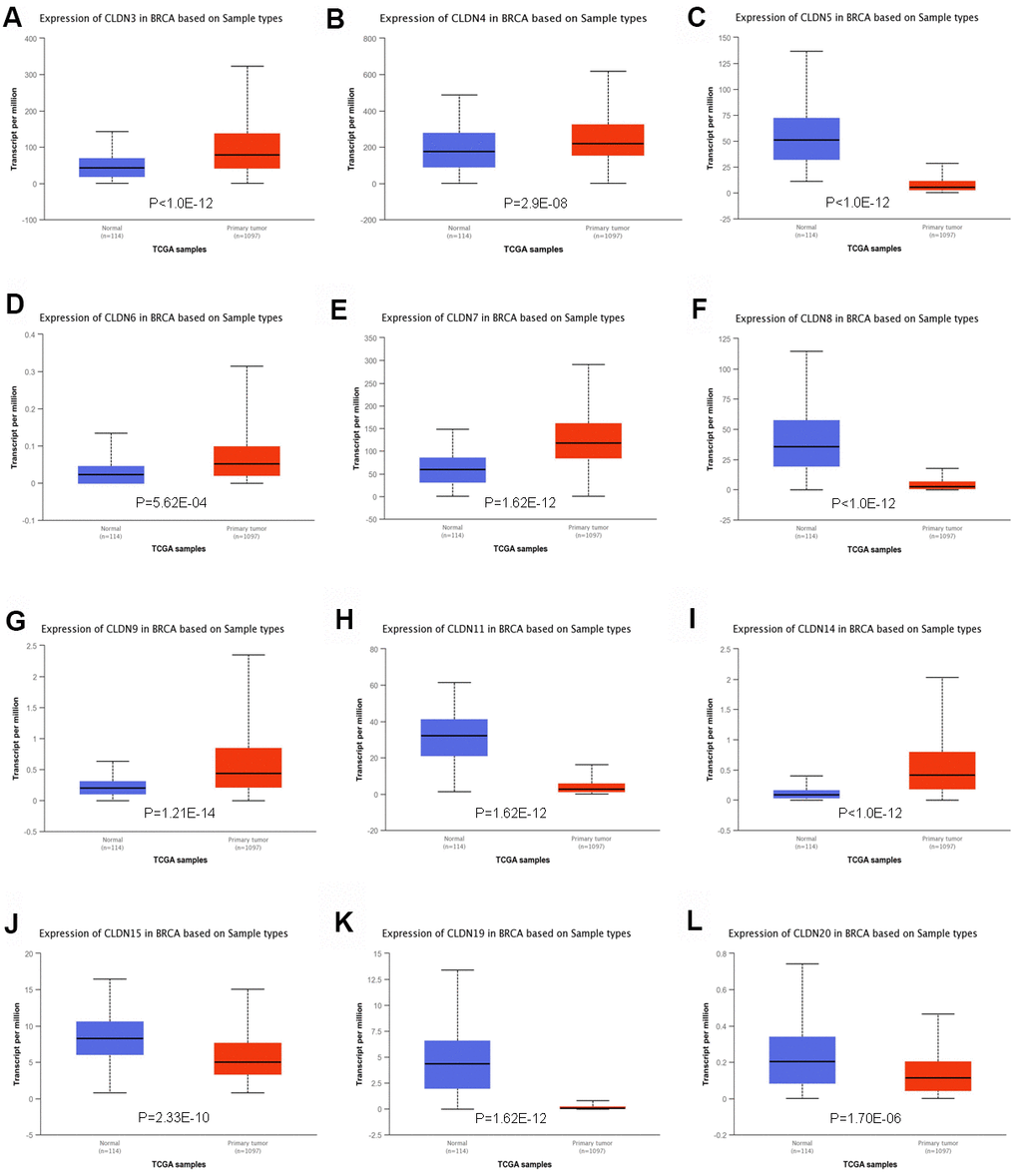 Significant changes in claudin mRNA expression between breast cancer and normal tissues (UALCAN database). (A) CLDN3; (B) CLDN4; (C) CLDN5; (D) CLDN6; (E) CLDN7; (F) CLDN8; (G) CLDN9; (H) CLDN11; (I) CLDN14; (J) CLDN15; (K) CLDN19; (L) CLDN20.