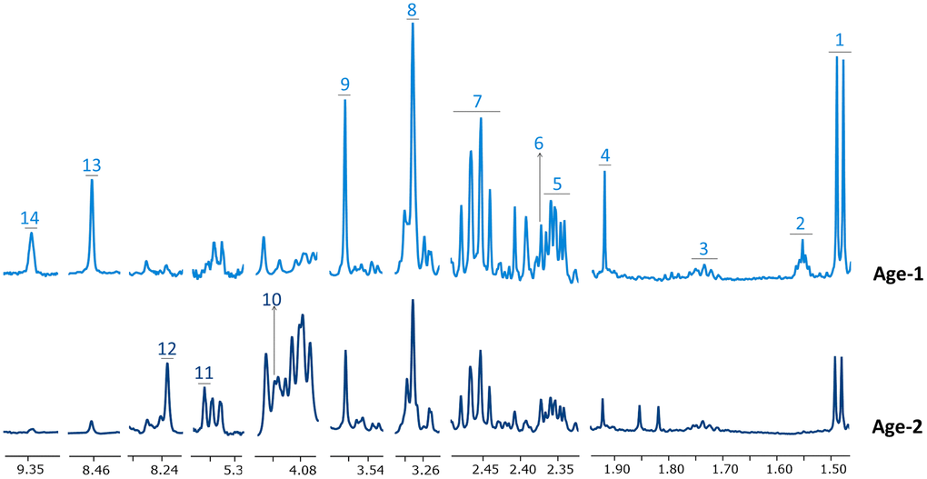 Representative 1H-NMR spectra corresponding to Age-1 and Age-2 groups. Spectral regions are widened to better appreciate changes in the levels of some metabolites. Metabolites in Age-1 and Age-2 spectra are negatively and positively associated with age, respectively. Assigned metabolites: 1 alanine, 2 adipate, 3 lysine, 4 acetate, 5 glutamate, 6 pyruvate, 7 glutamine, 8 betaine, 9 glycine, 10 6-phosphogluconate, 11 phosphoenolpyruvate, 12 inosine monophosphate, 13 formate, 14 NAD+.