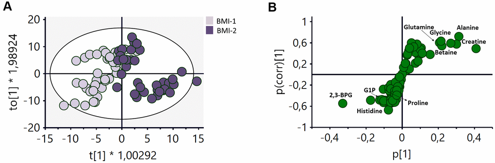 OPLS-DA analysis of the metabolomic profile of RBCs of BMI-1 (BMI (A) Score plot of the OPLS-DA model obtained. R2Y(cum)=0.75, Q2(cum)=0.413. Permutation test result: R2=(0.0, 0.248), Q2=(0.0, -0.362). CV-Anova: p-value=0.000016. (B) S-plot showing the most important metabolites contributing to the discrimination between non-obese and obese subjects. G1P: glucose 1-phoshate, 2,3BPG: 2,3-biphosphoglycerate.