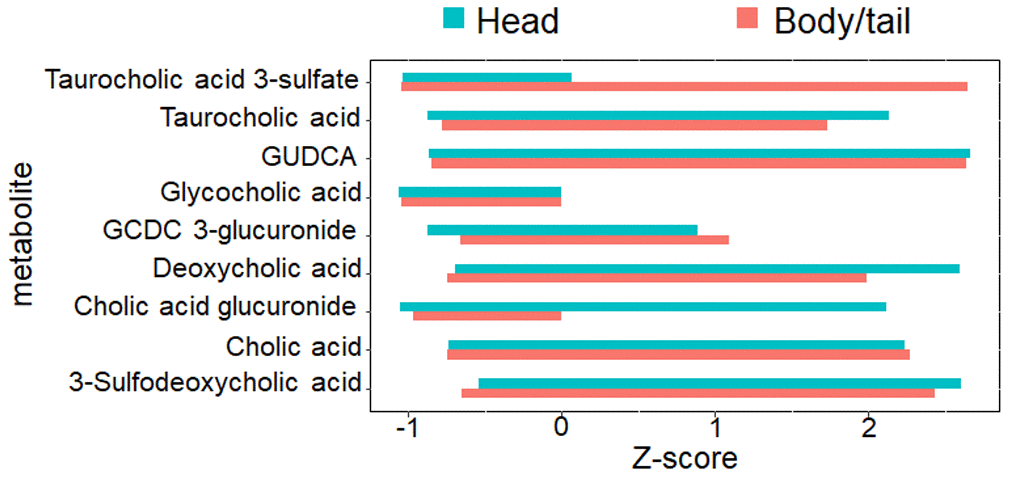 The nine metabolites level involved with bile acid metabolism. The bar chart denoted the direct comparison for the nine bile acid metabolites between pancreatic head and body/neck cancer (n=30 for each group). The Z-score with log transformation was presented. GUDCA, glycoursodeoxycholic acid, GCDC, glycochenodeoxycholic acid.