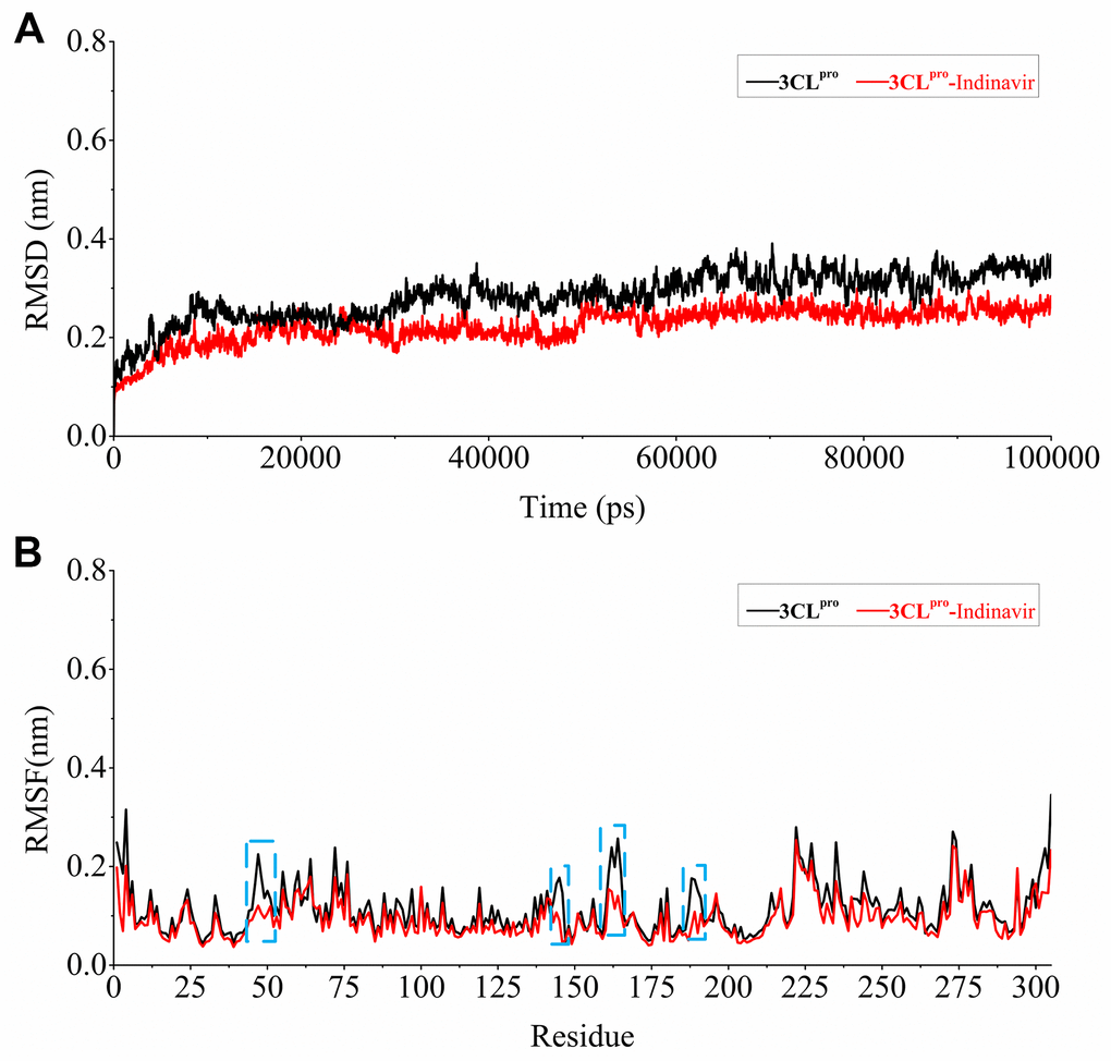 Stability evaluation of 3CLpro system and 3CLpro-Indinavir system. (A) RMSD of all main chain atoms of 3CLpro system and 3CLpro-Indinavir system. (B) RMSF of side chain atoms of 3CLpro system and 3CLpro-Indinavir system. The black line indicates the result of the 3CLpro system, and the red line indicates the result of the 3CLpro-Indinavir system. In addition, these regions (residues Glu47-Tyr54, Phe140-Cys145, His163-Pro168 and Val186-Thr190) are highlighted with blue dotted box.