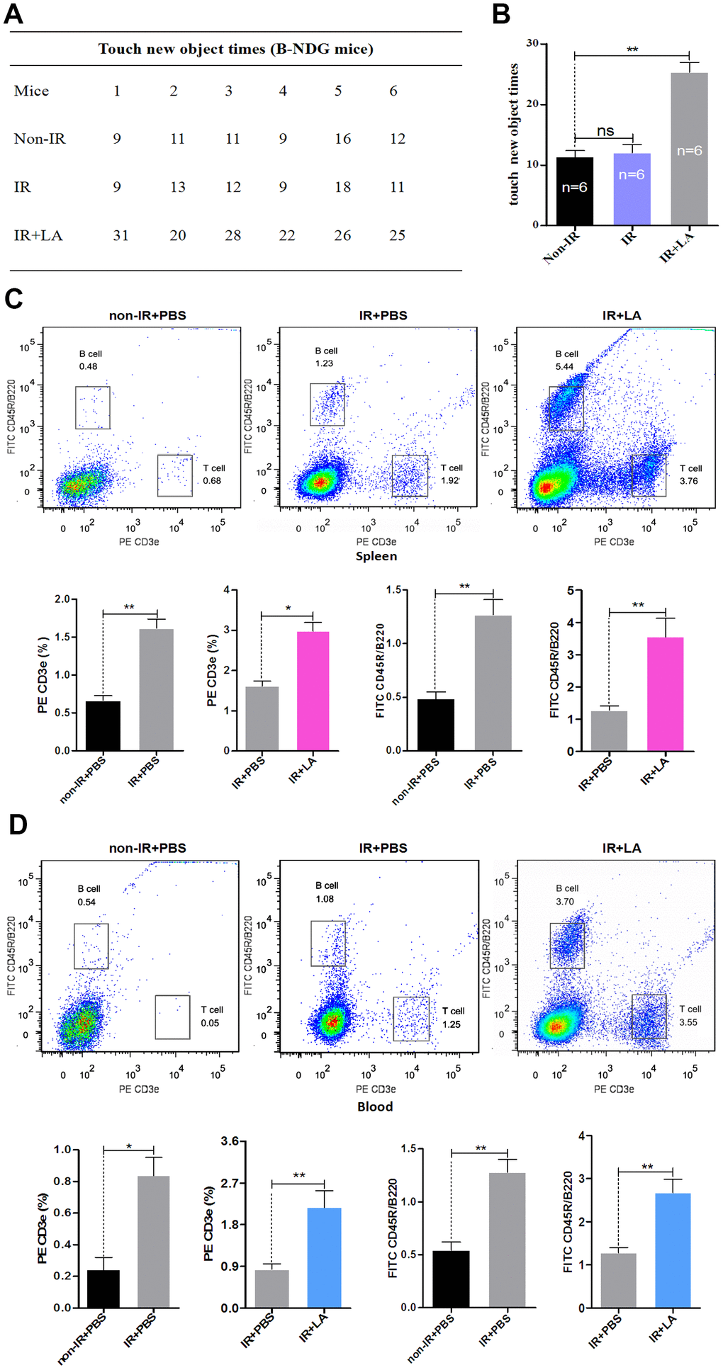 Effect of LA on T- and B-cell proliferation in B-NDG mice. (A) New object recognition results for the IR+LA, IR and non-IR groups. (B) Statistical analysis of the results shown in (A). (C, D) T- and B-cell proliferation in the spleen (C) and whole blood (D). The data are presented as the mean±SD of three independent experiments. Statistical significance was determined using unpaired t-tests. *p p 