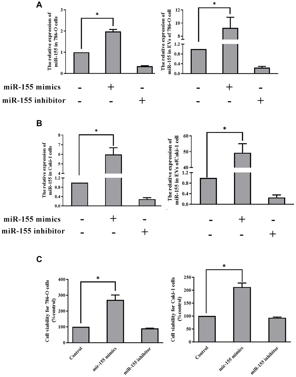 EV-derived miR-155 alters 786-O and Caki-1 cell proliferation. (A, B) Confirmation of miR-155 mimic and inhibitor transfection in 786-O and Caki-1 Cells. (C) The impact of miR-155 on 786-O and Caki-1 cell viability was assessed using EVs from cells prepared in A and B. EV-derived miR-155 enhances cellular viability. This experiment was conducted using three distinct biological replicates. *P 