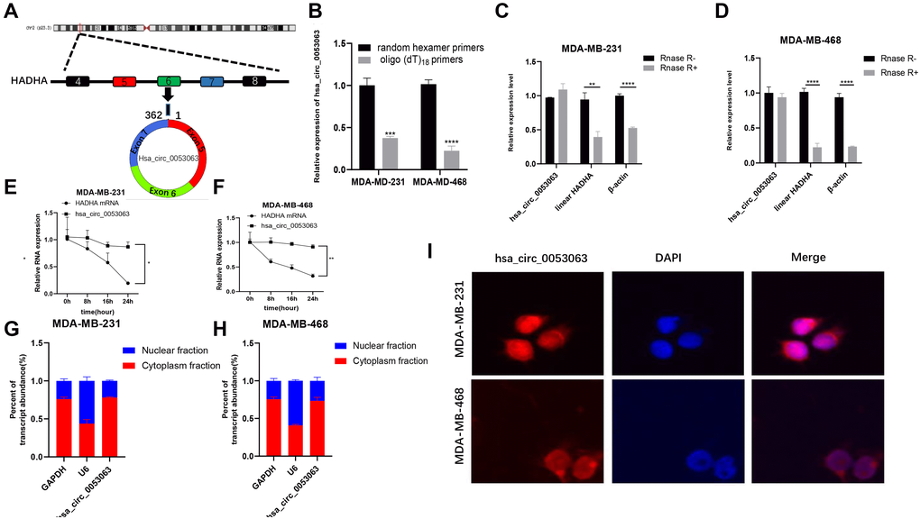 Characterization of hsa