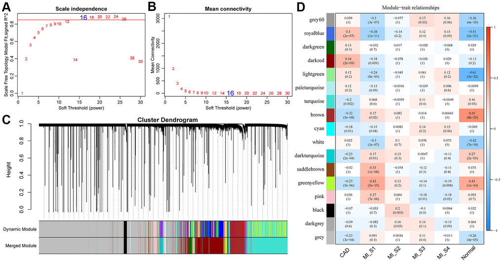 Construction of weighted gene co-expression network and identification of disease-related modules. (A, B) Determination of soft-thresholding power in the weighted gene co-expression network analysis (WGCNA). (A) Analysis of the scale-free fit index for various soft-thresholding powers (β). (B) Analysis of the mean connectivity for various soft-thresholding powers. (C) Dendrogram of all differentially expressed genes/lncRNAs clustered based on a dissimilarity measure (1-TOM). (D) Correlation distribution of feature vectors of each module with four time points and CAD.