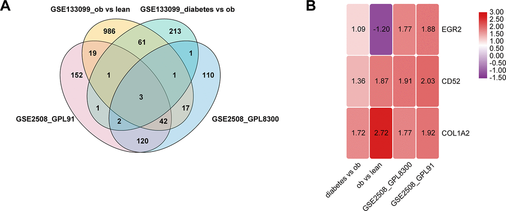 Identification of differentially expressed genes in mature adipocytes. (A) Venn diagram of the differentially expressed genes in 4 pairs group. (B) There are three genes that are significantly differentially expressed in all four groups, and the number in the rectangle represents logFC.