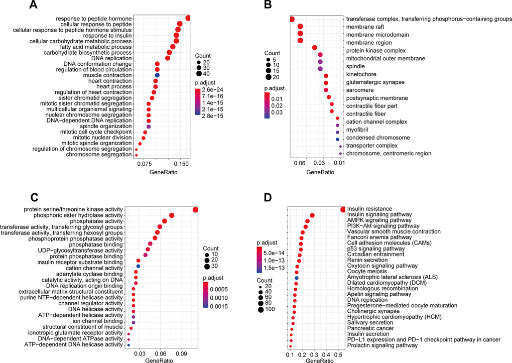 GO and KEGG pathway enrichment of genes in the darkgreen module. (A) Biological process; (B) cellular component; (C) molecular function; (D) Kyoto Encyclopedia of Genes and Genomes (KEGG) pathways.