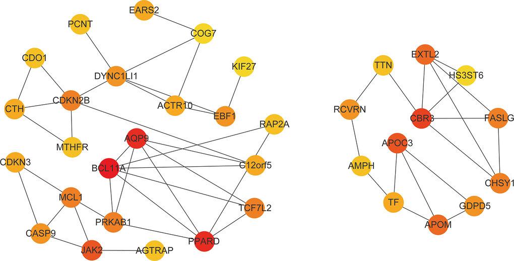 Hub gene network. The figure contains the first 35 gene with the highest network connectivity. The darker the color, the higher the connection.