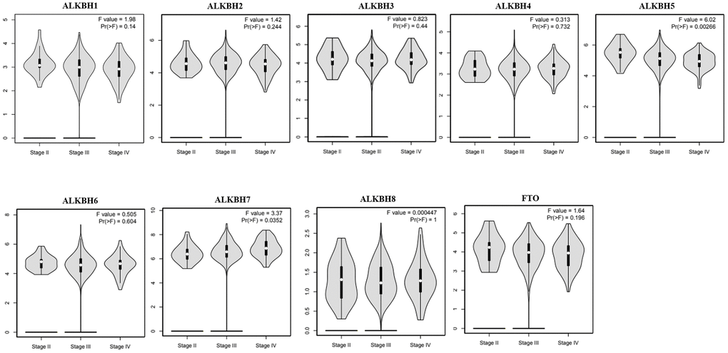 The relationship between the expression of the AlkB family and the pathological stage of OV patients (GEPIA). GEPIA databases were used to evaluate the correlations of the AlkB family with the pathological stage of OV patients.