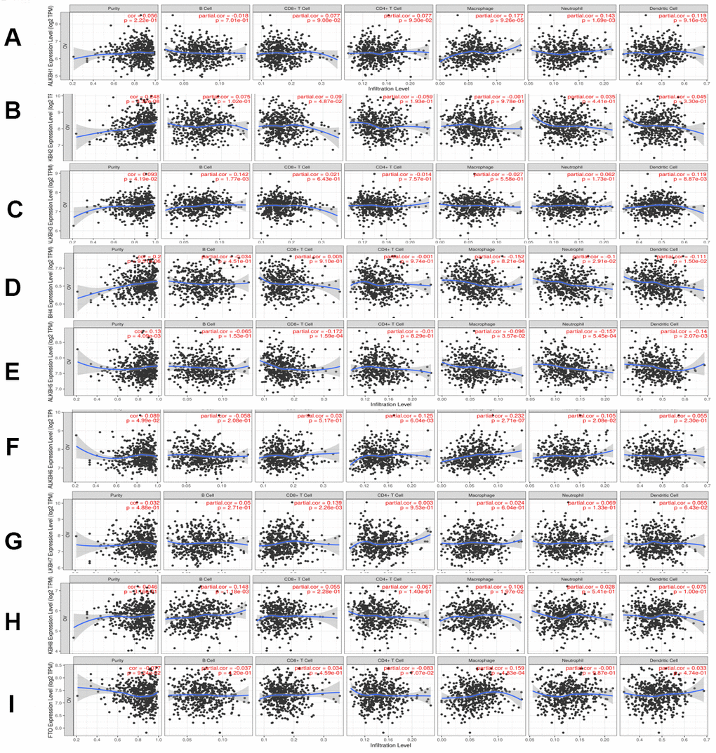 The relationship between immune cell infiltration and the expression of the AlkB family. The Timer database was used to analyze the effect of (A) ALKBH1, (B) ALKBH2, (C) ALKBH3, (D) ALKBH4, (E) ALKBH5, (F) ALKBH6, (G) ALKBH7, (H) ALKBH8 and (I) FTO on the abundance of immune cells in OV patients.