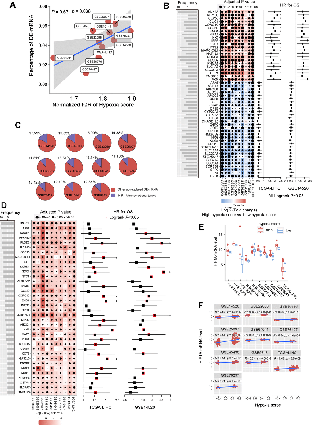 The mRNA alterations in hepatocellular carcinoma (HCC) patients with high hypoxia scores and low hypoxia scores. (A) Hypoxia scores were calculated based on the 21-gene hypoxia signature. According to the upper quartile and the lower quartile, patients were divided into a high hypoxia score group and a low hypoxia score group. In the 11 HCC cohorts, the percentage of differentially expressed (DE)-mRNAs among all mRNAs measured was positively proportional to the interquartile range (IQR) of the hypoxia scores. (B) A total of 51 high frequency/DE-mRNAs (HF/DE-mRNAs) are correlated to HCC patient survival in both TCGA-LIHC and GSE14520. The heat map shows the difference in the expression of these mRNAs between the high hypoxia score group and the low hypoxia score group in the 10 HCC cohorts, that is, the log2 (fold change) between the two groups. The forest plot indicates the hazard ratios (HRs) of these mRNAs for OS in the survival analysis (all logrank P  1.3, cut-off value = median expression level). (C) The percentage of transcription targets with differentially expressed hypoxia-inducible factor 1-alpha (HIF-1A) in a dataset for all DE-mRNAs in the dataset. (D) Thirty-six mRNAs may function as transcription targets of HIF-1A, and the upregulation trends are consistent in the 10 HCC datasets. The heat map shows the difference in the expression of these mRNAs between the high hypoxia score group and the low hypoxia score group. The forest plot indicates the HRs of these mRNAs for OS in the survival analysis (cut-off = median expression level). (E) The differences in HIF-1A mRNA expression levels between the high hypoxia score group and the low hypoxia score group in 10 HCC datasets. (F) Correlations between HIF-1A mRNA expression levels and hypoxia scores for the 10 HCC datasets.