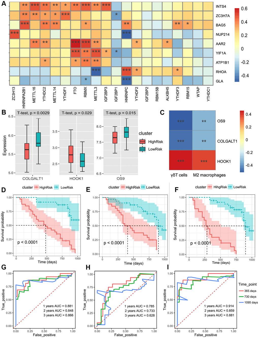(A) The heatmap of the correlations between the m6A-related genes and 9 m6A-related-CoV genes in the whole blood of IPF. (B) Patients were divided into the low-risk group and high-risk group according to the infiltration of γδT cells and M2 macrophages. The box plot showed the difference of the COLGALT1, HOOK1, and OS9 between low-risk and high-risk groups. (C) The heatmap of the correlations between the 2 immune cell composition and 3 SARS-CoV-2 related DEGs. (D) Kaplan–Meier plot of overall survival in two clusters based on the risk models of m6A-related-CoV genes (Score 1). (E) Kaplan–Meier plot of overall survival in two clusters based on the risk models of the immune infiltration patterns (Score 2). (F) Kaplan–Meier plot of the overall survival in two clusters based on the risk models of the combined Cox regression model. (G) The ROC curve in the risk models of m6A-related-CoV genes (Score 1). (H) The ROC curve in the risk models of the immune infiltration patterns (Score 2). (I) The ROC curve in the risk models of the combined Cox regression model.