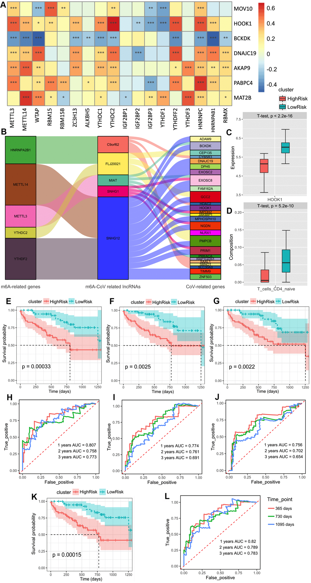 (A) The heatmap of the correlations between the m6A-related genes and 9 m6A-related-CoV genes in the peripheral blood mononuclear cell of IPF. (B) The alluvial diagram of the correlation between m6A-CoV related lncRNAs, m6A related genes, and SARS-COV-2 related genes. (C) The box plot of the discrepancy of the HOOK1 expression in two clusters based on the risk models of SARS-CoV-2 related immune infiltration patterns (Score 3). (D) The box plot of the discrepancy of the infiltration of the naïve CD4+ T cells in two clusters based on the risk models of SARS-CoV-2 related immune infiltration patterns (Score 3). (E) Kaplan–Meier plot of the overall survival in two clusters based on the risk models of m6A-related-CoV genes (Score 1). (F) Kaplan–Meier plot of the overall survival in two clusters based on the risk models of m6A-CoV related lncRNAs (Score 2). (G). Kaplan–Meier plot of the overall survival in two clusters based on the risk models of SARS-CoV-2 related immune infiltration patterns (Score 3). (H) The ROC curve in the risk models of m6A-related-CoV genes (Score 1). (I) The ROC curve in the risk models of m6A-CoV related lncRNAs (Score 2). (J) The ROC curve in the risk models of SARS-CoV-2 related immune infiltration patterns (Score 3). (K) Kaplan–Meier plot of the overall survival in two clusters based on the risk models of the combined Cox regression model. (L) The ROC curve in the risk models of the combined Cox regression model.