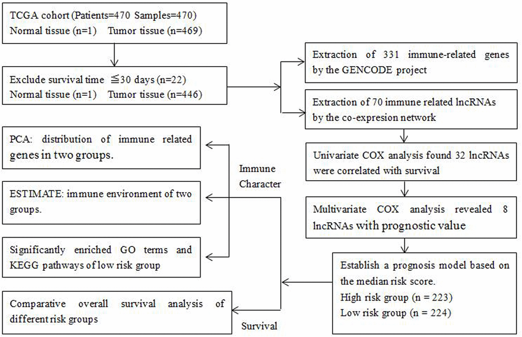 Flowchart of the detailed study design and samples at each stage of the analysis.