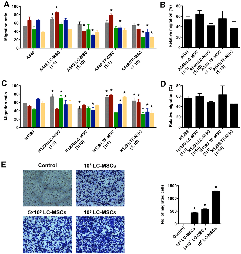 Tumor migration influenced by LC-MSCs in vitro. (A–D) A549.CopGFP and H1299.CopGFP cells were co-incubated with LC-MSCs at the cell ratio 1:1 and 1:10 to 80% confluence before wound healing assay was performed. The migrated ratio was calculated as (the first scratch distance - the scratch distance 48 hours later)/ the first scratch distance×100%. Color bar chart, triplicate data for each patient. Dark bar chart, statistical analysis for all patients. TF-MSCs, comparison from normal lung tissues. (E) The migratory capacity of A549 cells in response to conditioned medium of LC-MSCs was determined using transwell migration assay. Control, serum-free medium without LC/TF-MSCs. *, P 