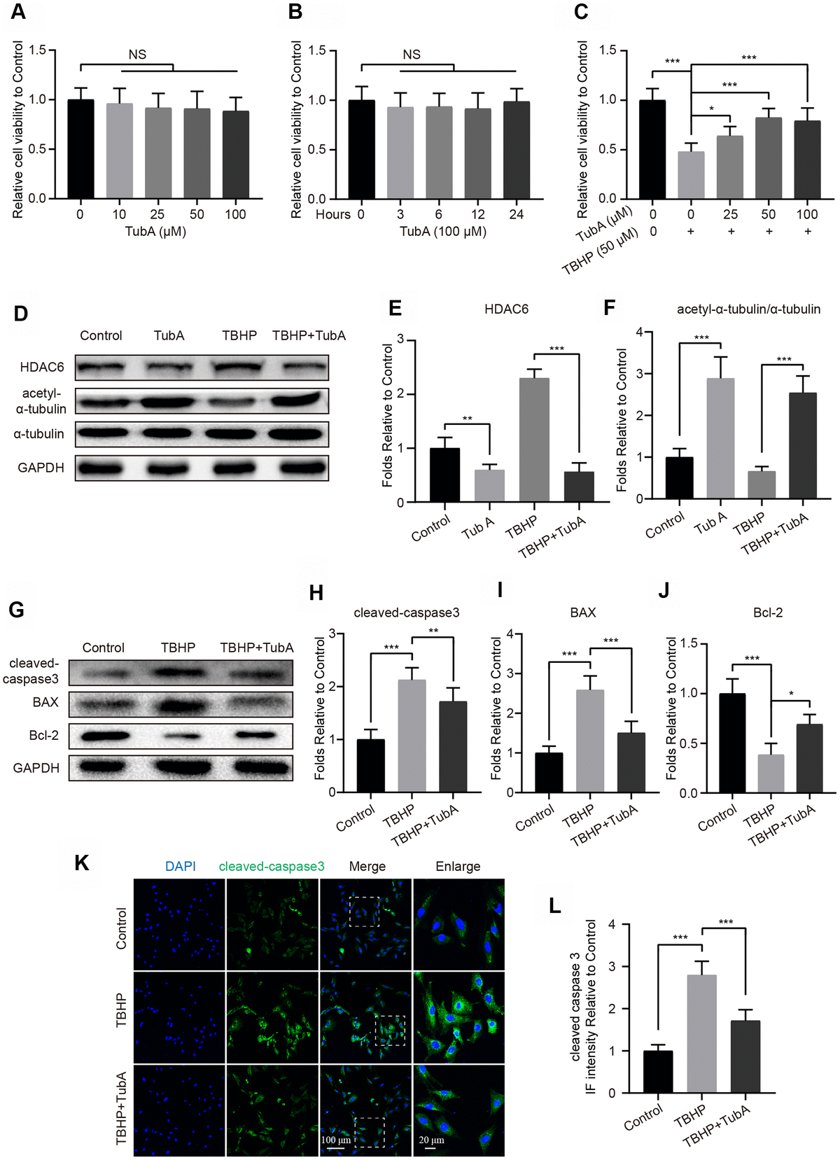 Inhibition of HDAC6 by Tubastatin A reduces chondrocyte oxidative
