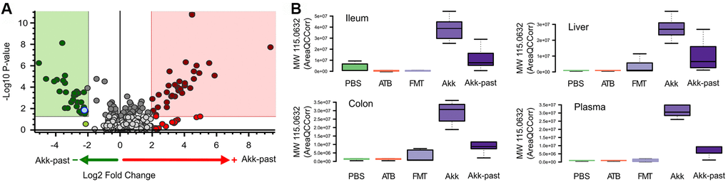 Differential plasma metabolites identification between Akk- or Akk-past-treated mice (A). One metabolite (marked in blue in A) showed significant difference after comparison versus PBS, ATB and FMT groups, it was annotated by its molecular weight as MW 115.0632. (B) Plasma MW 115.0632 was identified in ileum, colon and liver, according to similar retention time and fragments, showing the same trend in the four extracted organs.