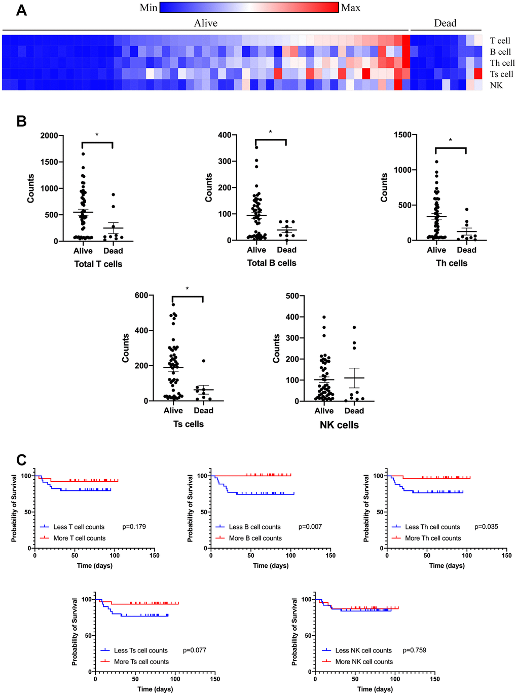 Circulating immune cell subpopulation on admission of cancer patients with COVID-19. Counts of T lymphocytes, B lymphocytes, Th cells, Ts cells, and NK cells were tested on admission of cancer patients with COVID-19 divided by the outcome (A). Counts of T lymphocytes, B lymphocytes, Th cells, and Ts cells were diminished on admission of cancer patients with COVID-19 (B). Count of B lymphocytes and Th cells were correlated with survival time of cancer patients with COVID-19 (C).