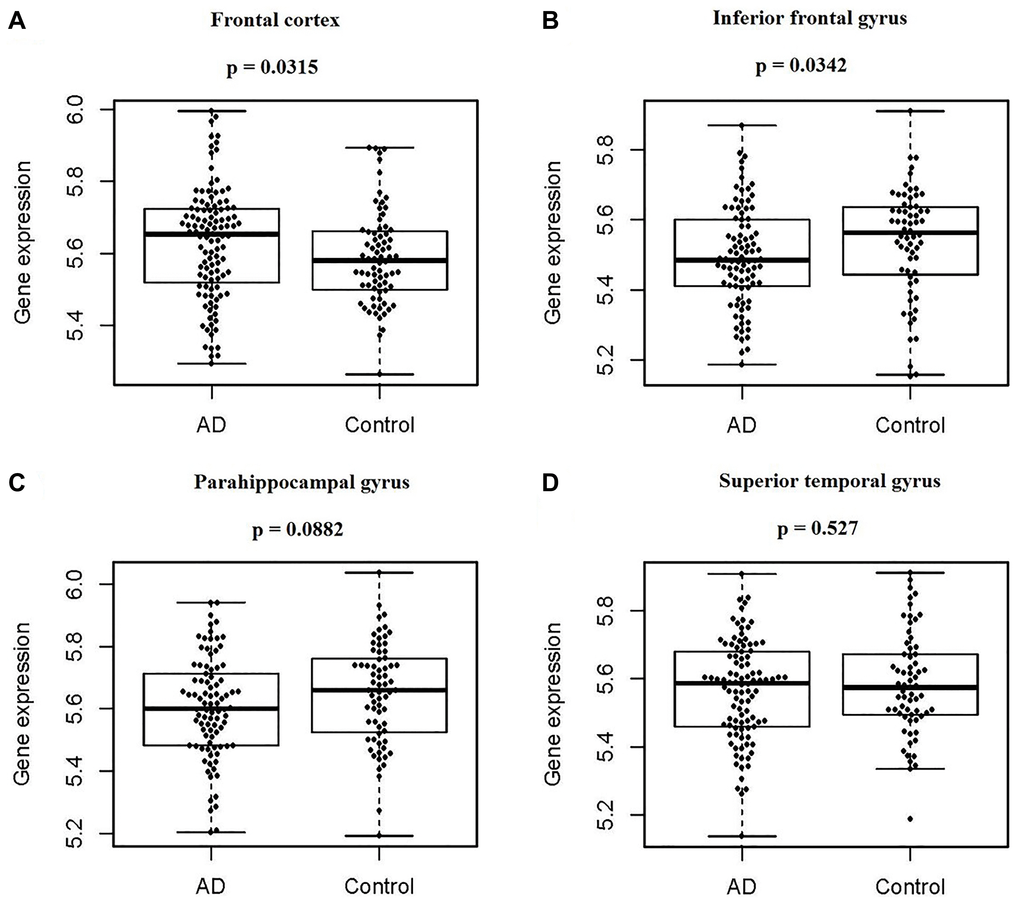 PIAS1 gene expression in four regions of human brains between normal controls and AD patients. Based on the Synapse database, the difference in PIAS1 gene expression in four regions of human brains between normal controls and AD patients was determined by using the Wilcoxon signed-rank test. (A) For the frontal cortex, there were 111 cases and 76 controls, and PIAS expression was significantly higher in AD patients, with a p value of 0.0315. (B) For the inferior frontal gyrus, there were 90 cases and 64 controls, and PIAS expression was significantly lower in AD patients, with a p value of 0.0342. (C) For the parahippocampal gyrus, there were 90 cases and 68 controls, and PIAS expression was not significantly changed, with a p value of 0.0882. (D) For the superior temporal gyrus, there were 102 cases and 65 controls, and PIAS expression was not significantly changed, with a p value of 0.527.