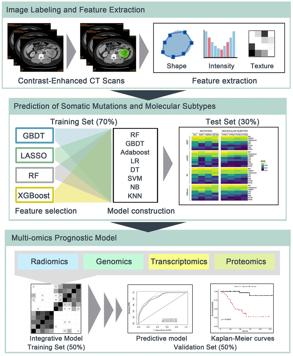 The flowchart of radiomics analysis and omics integration. (1) Manual delineation of tumor region of interest (ROI) of contrast-enhanced CT. Shape-based, first-order and second-order radiomics features of ROIs were then calculated. (2) Prediction of somatic mutations and molecular subtypes using radiomics features and multiple machine learning algorithms in independent training/test sets. (3) Radiomics, genomics, transcriptomics and proteomics were integrated to build predictive models for overall survival in training set, and their prognostic values were estimated using validation set.