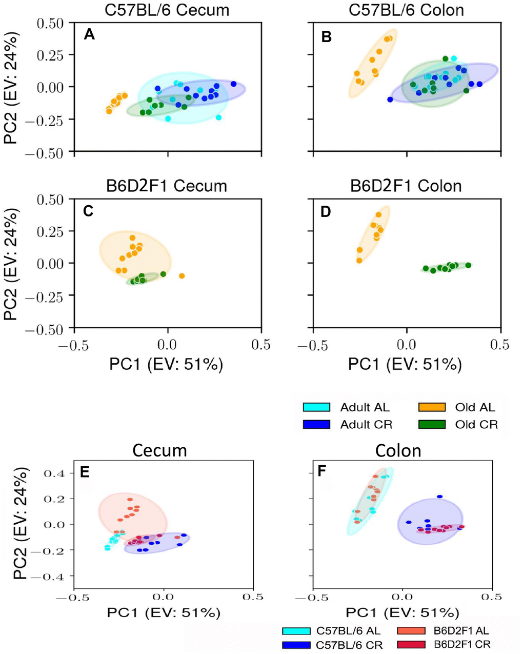 PCA plots showing the variance in the microbiome of mice fed AL and CR. The PCA plots are shown for the microbiome from the cecum (A) and colon (B) of adult and old C57BL/6JN mice fed AL or CR and from the cecum (C) and colon (D)of old B6D2F1 mice fed AL or CR. Panels (E, F) show PCA plots of the microbiome from the cecum and colon, respectively for old C57BL/6JN and B6D2F1 mice fed AL and CR. Ellipses are 95% confidence intervals for the group obtained using bootstrapping, and "EV: XX%" in the axis labels is the percentage of explained variance of the component.