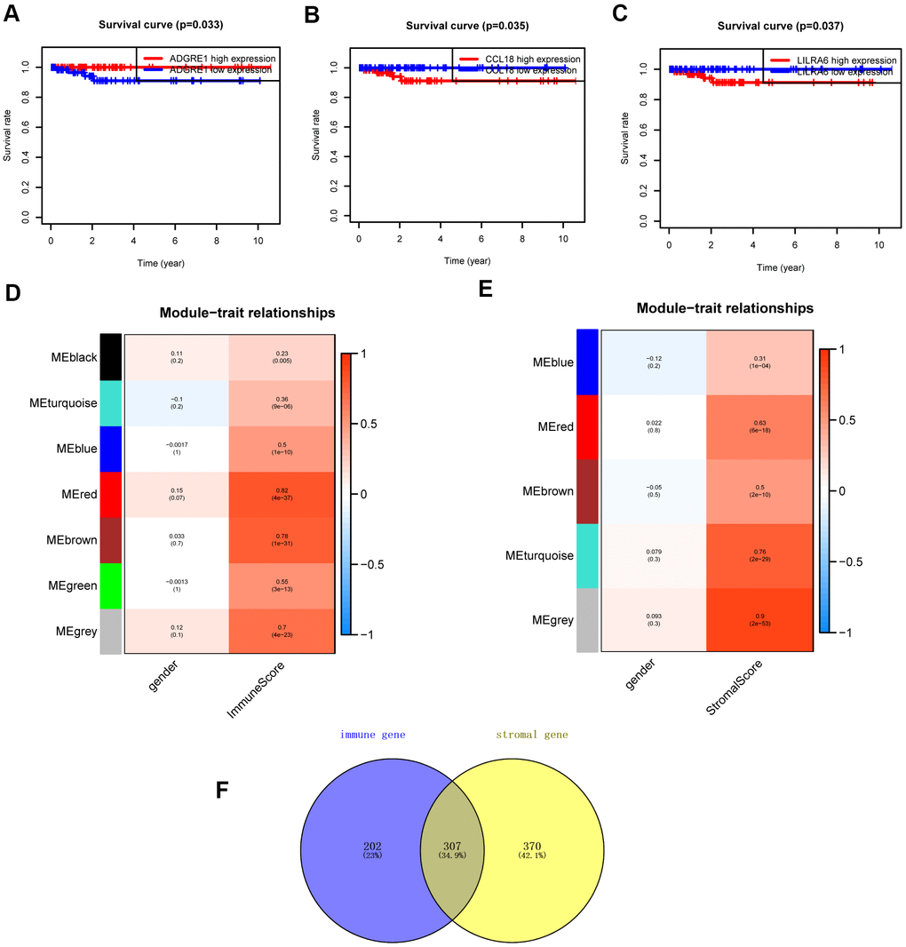 Survival analysis and module-trait relationship analysis. (A–C) Overall survival between patients with high and low expression of the three hub genes. (D) Heatmap of the correlation between module eigengenes and immune score. (E) Heatmap of the correlation between module eigengenes and stromal score. (F) Venn plots displaying the intersection genes.