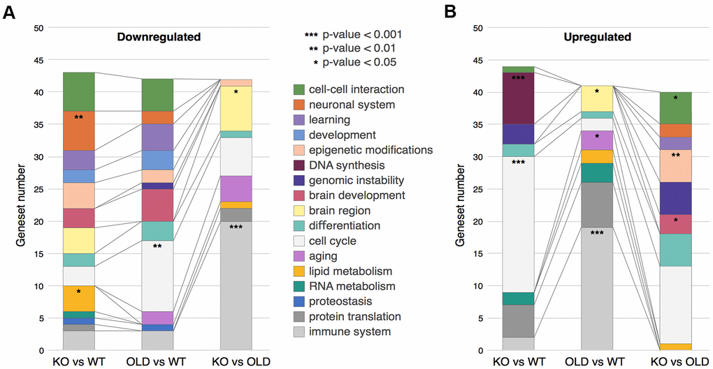 Clustering of GSEA categories. (A) Downregulated clusters of GSEA categories in the different comparisons. (B) Upregulated clusters of GSEA categories in the different comparisons. In both panels, colors correspond to clusters of GSEA categories, while stars represent hypergeometric test p-values: * - p-value 