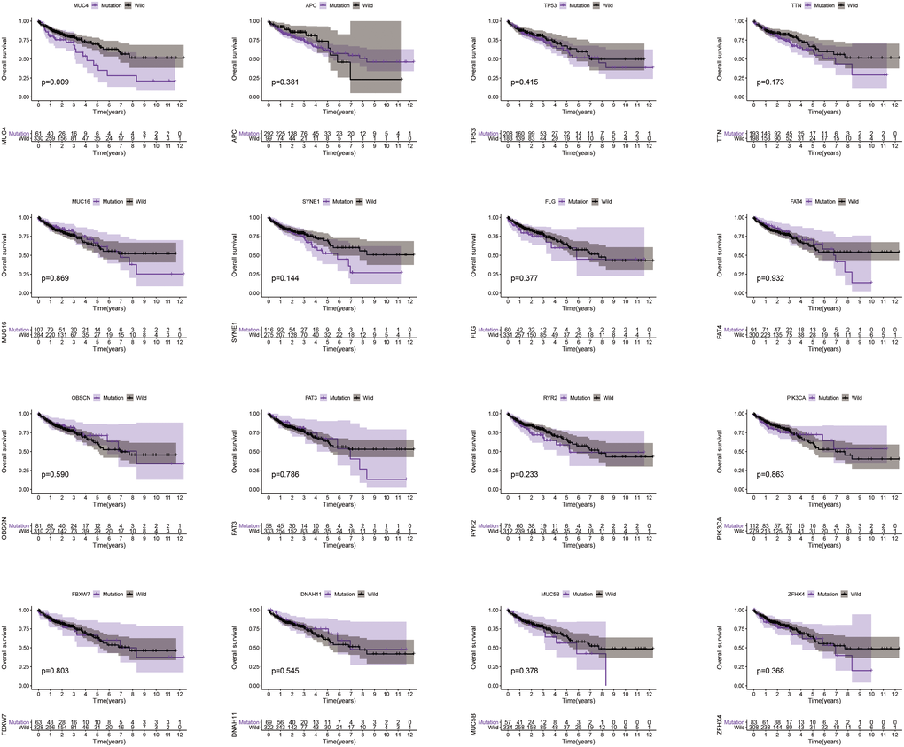 MUC4 mutation is associated with clinical prognosis. Kaplan-Meier survival analysis was used to determine survival curves that reflect the association between gene mutations and prognosis. The p-value is shown each plot.