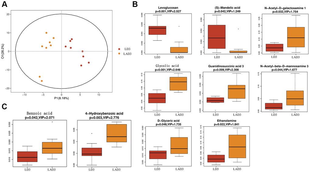 Orthogonal partial least squares discriminant analysis (OPLS-DA) was used to screen differential metabolites, and boxplot was used to display the results of differential metabolites. (A) The OPLS-DA of LD3 and LAD3 were compared. (B) The metabolites of LD3 and LAD3 were Levoglucosan, (s) - Mandelic acid, N-Acetyl-D-galactosamine, Glycolic acid, D-glyceric acid, Ethanolamine, Guaninosuccinic acid 3, N-Acetyl-beta-D-mannosamine 3. (C) The metabolites comparing the specific difference between LD3 and LAD3 are Benzoic acid and 4-Hydroxybenzoic acid.