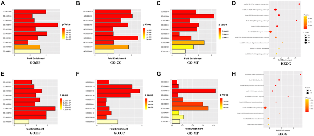 GO annotation and KEGG pathway enrichment analysis of the DEGs through the DAVID database. (A, E) the category of “biological process” of upregulated DEGs and downregulated DEGs, respectively. (B, F) the category of “cellular component” of upregulated DEGs and downregulated DEGs, respectively. (C, G) the category of “molecular function” of the predicted TG of upregulated DEGs and downregulated DEGs, respectively. (D, H) the category of “KEGG” of upregulated DEGs and downregulated DEGs, respectively.