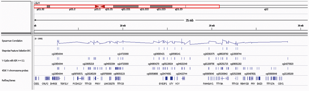 IGV screenshot on the Y Chromosome including the location of all reference Y-genes, the 416 Y-CpGs included in the Illumina® Human Methylation450 BeadChip array and the 75 age-predictive Y-CpGs used in this study (with highlighted the 19 Y-CpGs that were further selected) as well as their Spearman correlation coefficients.