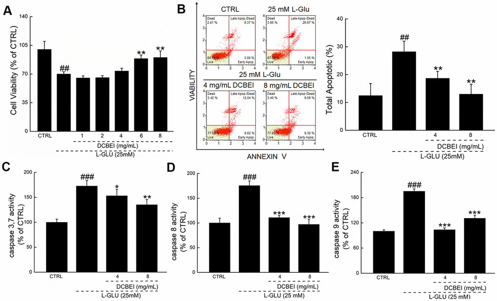 DCBEI protects HT22 cells against L-Glu-induced damage. HT22 cells were pre-incubated with DCBEI (4 mg/mL or 8 mg/mL) for 3 h, and co-treated with L-Glu for a further 24 h. (A) DCBEI increased cell viability. (B) DCBEI inhibited apoptosis. DCBEI attenuated the activation of caspase-3/7 (C), caspase-8 (D) and caspase-9 (E). Data are expressed as a percentage of corresponding control cells and means ± S.D. (n = 6). ## P P P P P 