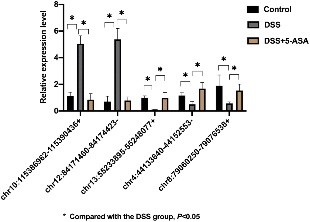 qRT-PCR validation of selected circRNAs. Five circRNAs were selected based on logFC and p-value for further validation by qRT-PCR. The result was consistent with the result of RNA-seq. *p 