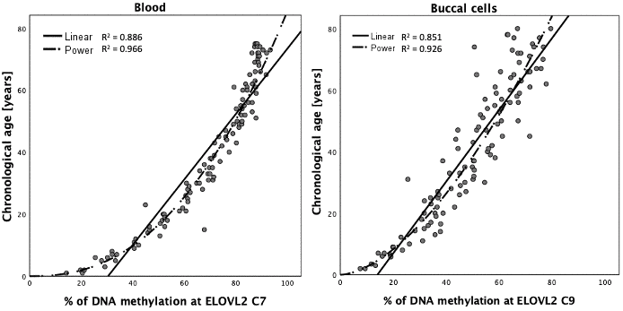 Curve estimation for DNA methylation data at ELOVL2 C7 in blood and ELOVL2 C9 in buccal cells.