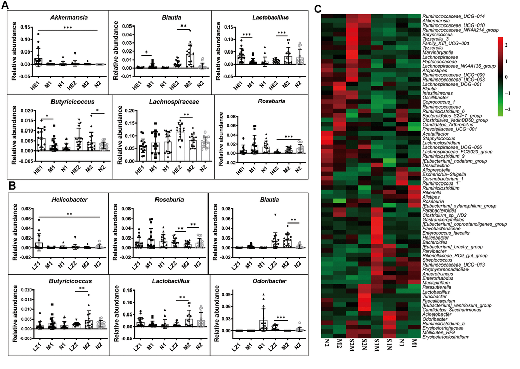 Special maternal diet changes the gut microbiome trace. (A) The dietary supplement of Hericium erinaceus group (A); the dietary supplement of Ganoderma lucidum (B); the heatmap of genus bacterial influenced by the postpartum environmental exposure (C). The symbol of N1 is the 28-day control samples, N2 is the 56-day control samples; M1 is the 28-day HSHF samples, M2 is the 56-day HSHF samples; HE1 is for Hericium erinaceus treated 28-day samples, HE2 is for Hericium erinaceus treated 56-day samples, LZ1 is for Ganoderma lucidum treated 28-day samples, LZ2 is for Ganoderma lucidum treated 56-day samples. Data are presented as the means ± SD of more than 8 independent experiments. *p **p vs. the model group by one-way ANOVA, followed by the one-way analysis of variance (ANOVA) at p Supplementary Figures 7, 8