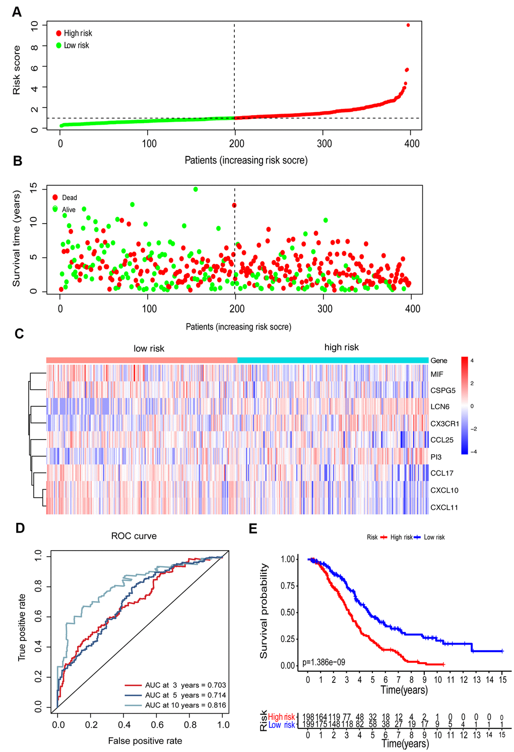 Construction of the immune-related prognostic model for EOC. (A) The risk score distribution of EOC patients in the prognostic model. (B) Survival status scatter plots for EOC patients in the prognostic model. (C) Heatmap of expression profiles of 9 prognostic genes in the high-risk and low-risk groups. (D) Time-dependent ROC curve analysis of the prognostic model (3, 5, and 10 years). (E) KM curve analysis of the high-risk and low-risk groups.